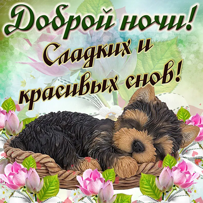 Открытка Спокойной ночи - Собака спит среди цветов. Открытка с щенком. | Красивая открытка #142