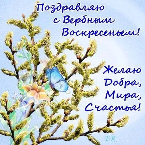 Открытка С вербным воскресеньем - Весенняя открытка: Верба и бабочки | Красивая открытка #177