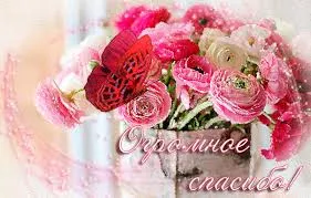 Открытка Благодарность - Букет из розовых и красных цветов | Красивая открытка #98
