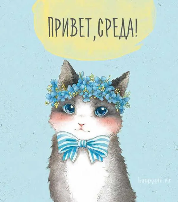 Открытка Открытки на среду - Открытка с милым котенком в цветах и бантике | Красивая открытка #69