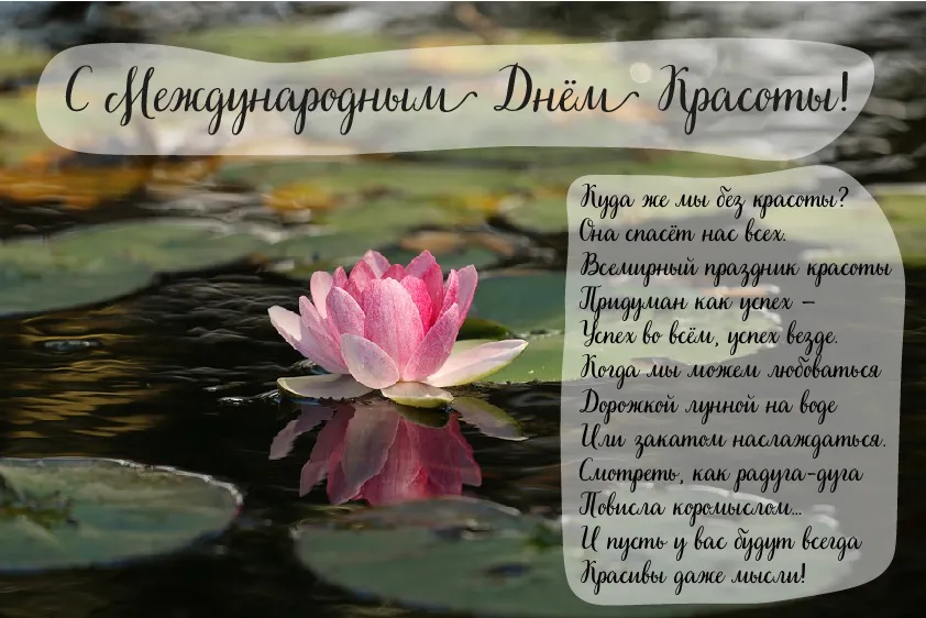 Открытка С международным Днём красоты - Цветы на воде: Открытка с Днем красоты | Красивая открытка #5