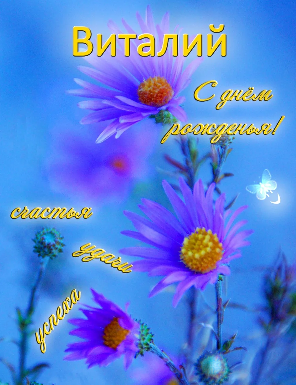 Открытка открытки с именем Виталий - Фиолетовые цветы на синем фоне с бабочкой. | Красивая открытка #238
