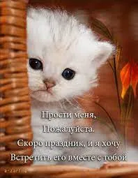 Открытка Прости - Милый котёнок на открытке: поздравление с праздником | Красивая открытка #10