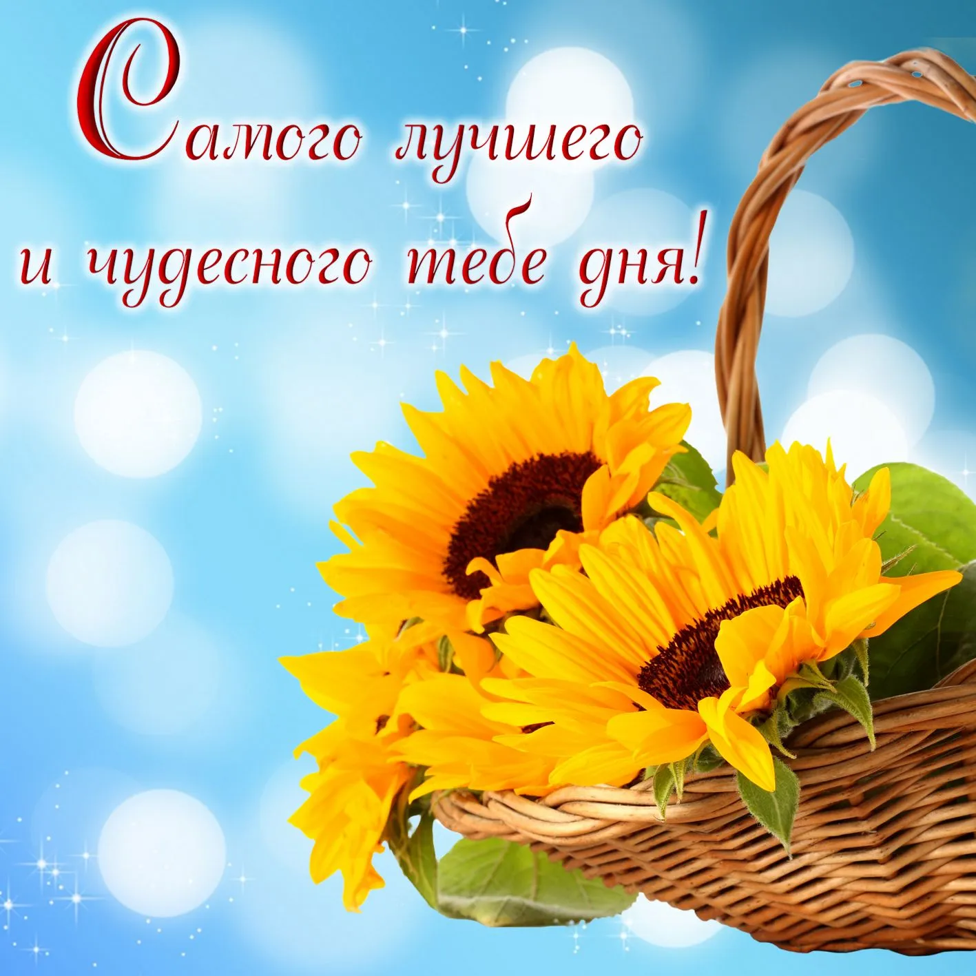 Открытка Хорошего дня - Солнечные подсолнухи в корзине: открытка | Красивая открытка #24