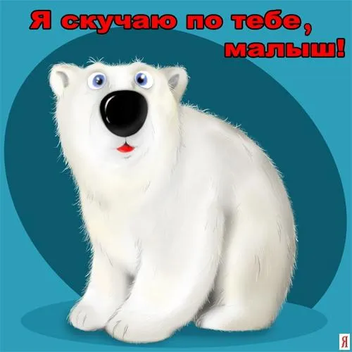 Открытка Скучаю - Белый медведь на синем фоне | Красивая открытка #266