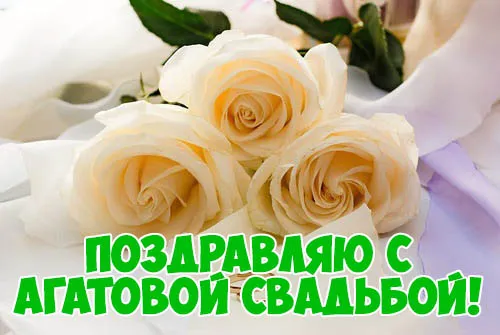 Открытка Открытки на Агатовую свадьбу 14 лет - Открытка с нежными белыми розами | Красивая открытка #6