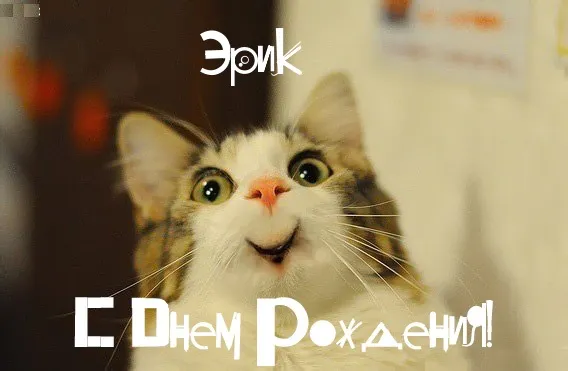 Открытка Открытки с именем Эрик - С Днём рождения! Весёлый кот - открытка с котиком | Красивая открытка #142