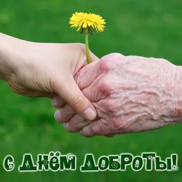 Открытка С одуванчиками - Рука пожилого человека держит цветок - фото | Красивая открытка #52