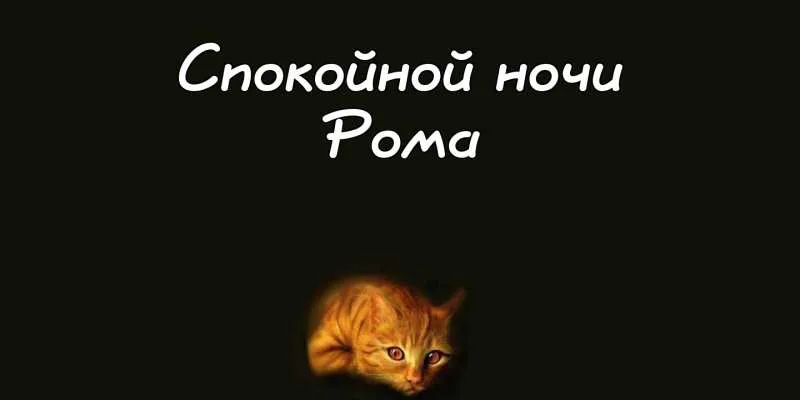 Открытка Открытки с именем Роман - Рыжий котенок: открытка с милым котиком | Красивая открытка #49