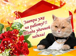 Открытка Открытки удачной недели - Открытка с котом, цветами и деньгами | Красивая открытка #233
