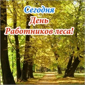 Открытка С днём работника леса - Осенний лес: тропа среди золотых деревьев | Красивая открытка #14