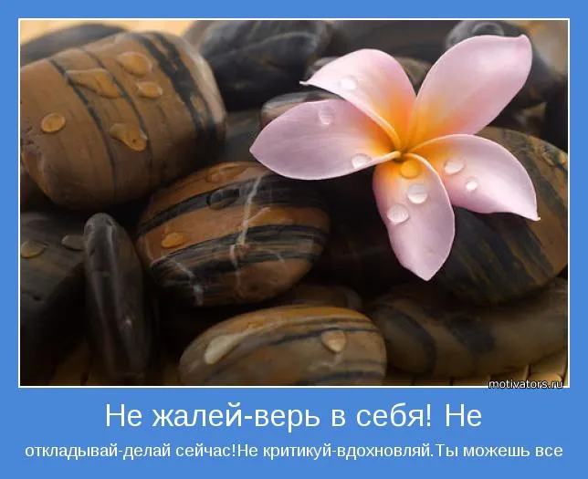 Открытка Цель - Открытка с цветком и камнями | Красивая открытка #29