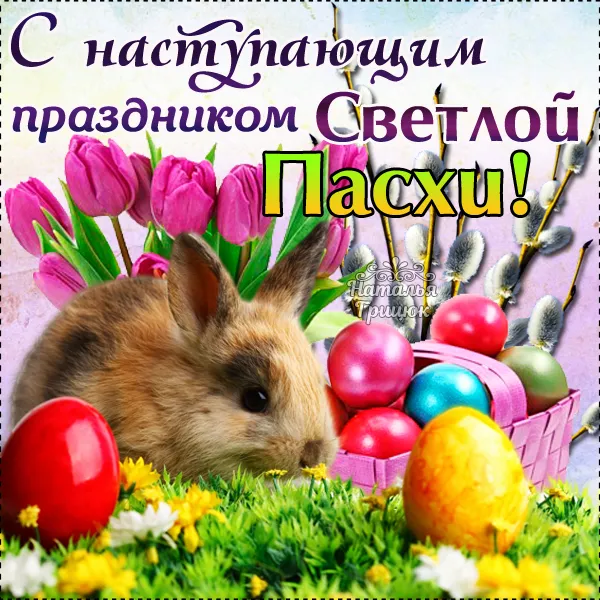 Открытка С наступающей пасхой - Зайчик и пасхальные яйца: весенняя открытка | Красивая открытка #23