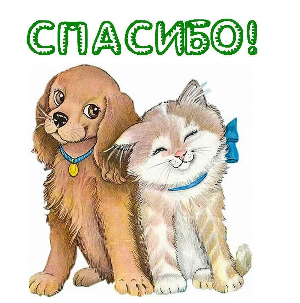 Открытка Спасибо - Милые котенок и щенок. Открытка с животными | Красивая открытка #132