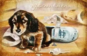 Открытка Прости - Щенок и ботинок: Милая открытка с щенком | Красивая открытка #40