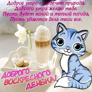 Открытка Открытки на воскресенье - Открытка с котиком: доброе утро и вкусный завтрак | Красивая открытка #21