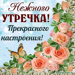 Открытка Доброе утро - Открытка с розами и бабочкой | Красивая открытка #12
