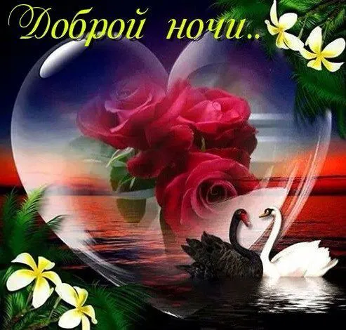 Открытка Доброй ночи - Открытка: лебеди, розы, цветной фон | Красивая открытка #82