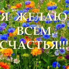 Открытка С васильками - Открытка с цветами: ромашки, васильки, лютики | Красивая открытка #52