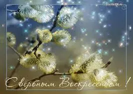 Открытка Вербное Воскресенье - Верба: нежная открытка с весенними ветками | Красивая открытка #189