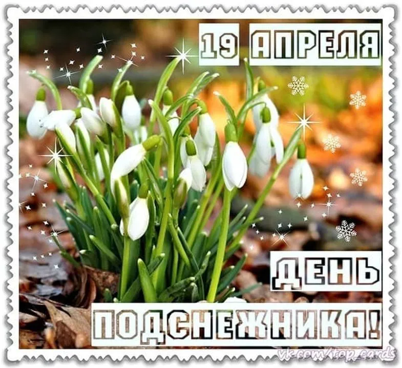 Открытка С днём подснежника - День подснежника | Красивая открытка #71