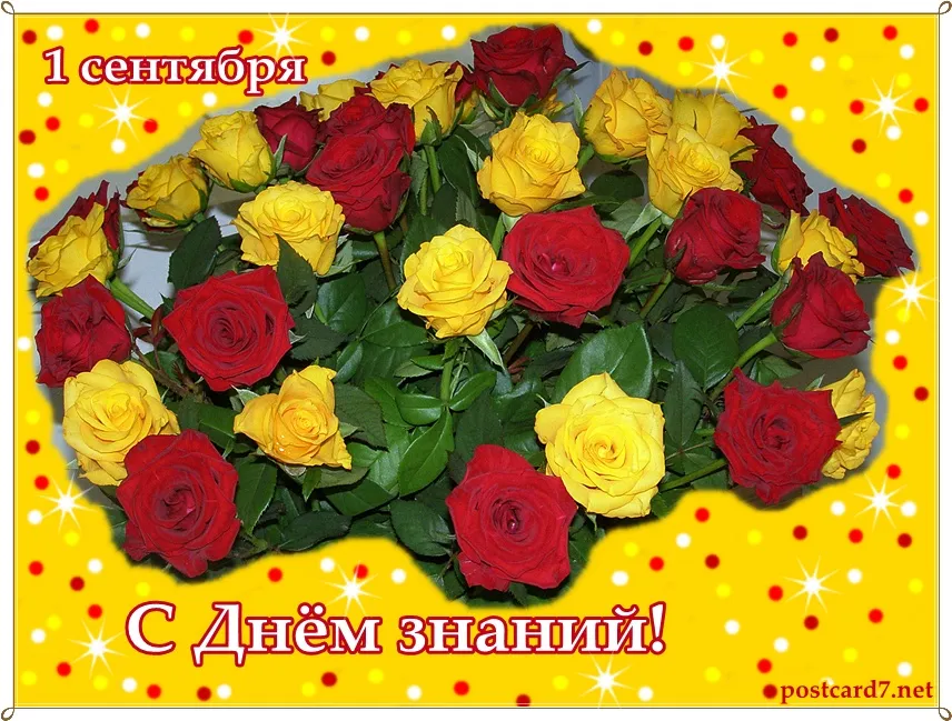 Открытка С желтыми розами - Открытка с желтыми и красными розами | Красивая открытка #88