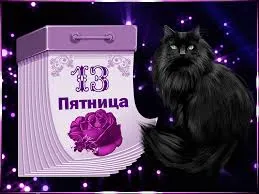 Открытка Открытки на пятницу 13 - Открытка с котиком, цветами и надписью «Пятница» | Красивая открытка #32