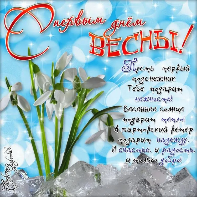 Открытка Первый день весны - Весенние подснежники: нежная открытка с цветами | Красивая открытка #194