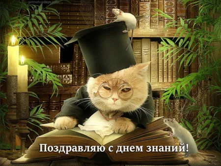 Открытка С днем знаний - Открытка с котом-ученым: поздравления с Днем знаний | Красивая открытка #54