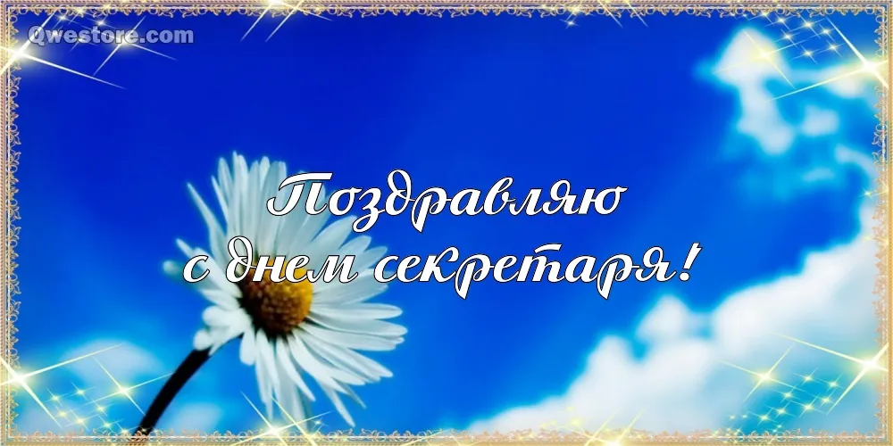 Открытка С днем секретаря - Открытка: полевой цветок на фоне голубого неба | Красивая открытка #24