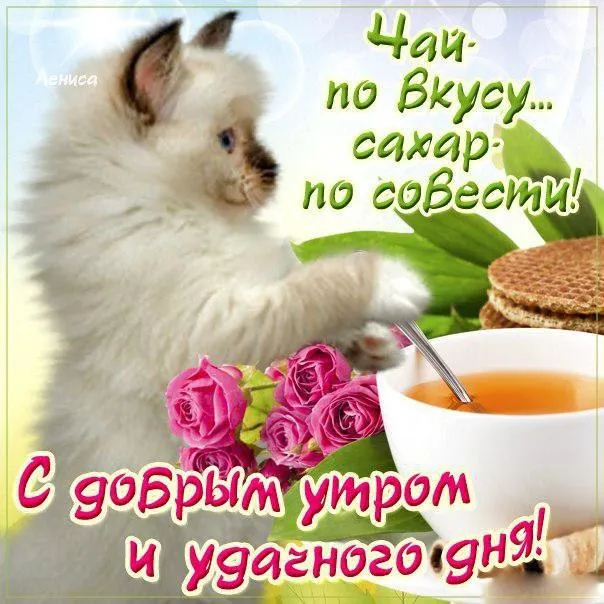 Открытка открытки с добрым утром - Открытка: котенок, чай, цветы | Красивая открытка #103