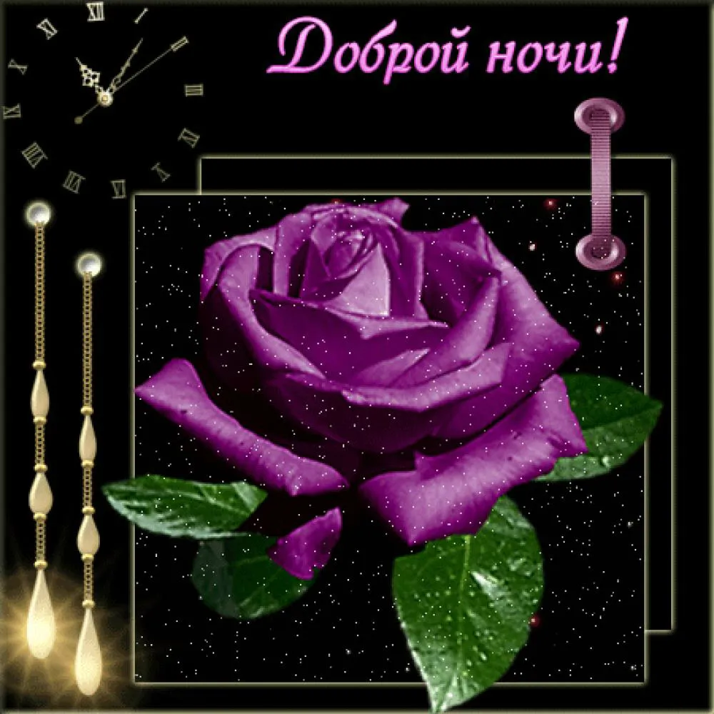 Открытка Доброй ночи - Фиолетовая роза на открытке: Красивая поздравительная картинка | Красивая открытка #144