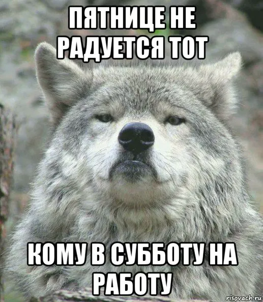 Открытка Открытки на субботу - Грозный волк: "Не радуется тому, что на работе" | Красивая открытка #209