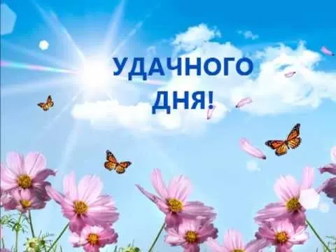 Открытка Удачного дня - Открытка: Поле цветов, бабочки, яркое солнце | Красивая открытка #11