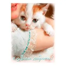 Открытка День доброты - День Добрых: Открытка с котенком | Красивая открытка #38