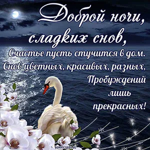 Открытка Доброй ночи - Белый лебедь на цветущей ветке - открытка | Красивая открытка #52