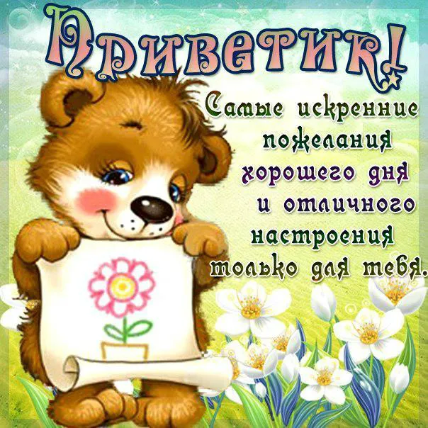 Открытка Привет - Открытка с милым котенком: поздравления с праздником | Красивая открытка #46