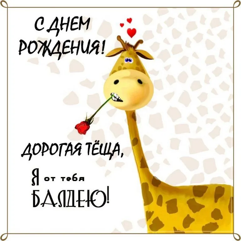 Открытка С днем рождения теща - Открытка с жирафом и розой. | Красивая открытка #41