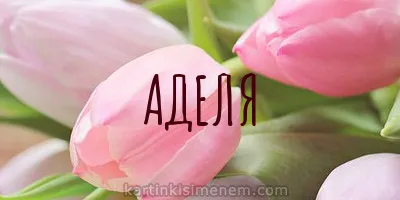 Открытка Открытки с именем Адель - Розовые тюльпаны: нежные открытки на 8 марта | Красивая открытка #87