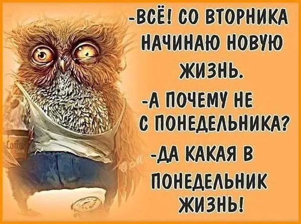 Открытка Среда - Сова в футболке: Открытка с забавным персонажем | Красивая открытка #51