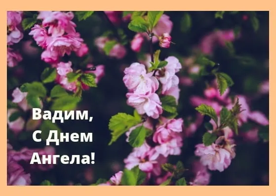 Открытка открытки с именем Вадим - Цветущая сакура: Открытка с днем ангела | Красивая открытка #145