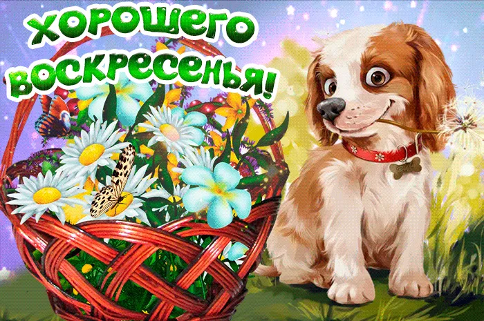 Открытка Удачного воскресенья - Открытка с щенком и корзиной цветов | Красивая открытка #9