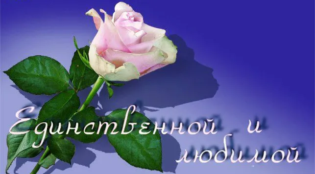 Открытка Для любимой/любимого - Розовый бутон розы на фиолетовом фоне | Красивая открытка #15