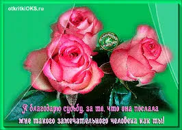 Открытка Благодарность - Розовые розы на открытке - поздравление с днем рождения | Красивая открытка #68