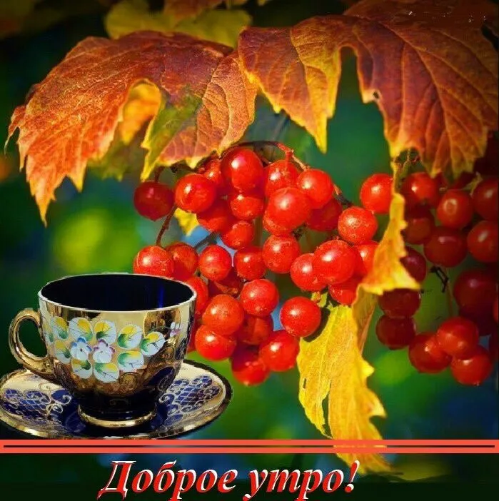 Открытка Открытки с добрым осенним утром - Красные ягоды и чашка кофе: Доброе утро! | Красивая открытка #43