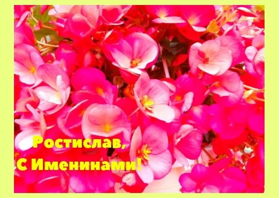 Открытка Открытки с именем Ростислав  - Открытка с цветами: Ростислав, с Именинами! | Красивая открытка #68