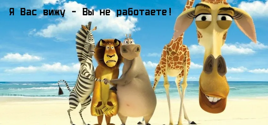 Открытка Открытки по мультфильмам - Открытка с Мадагаскаром: Зебра, Лев, Бегемот, Жираф | Красивая открытка #15