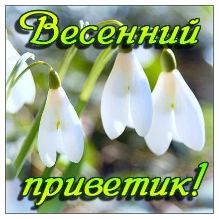 Открытка Март - Открытка с подснежниками: нежные весенние цветы | Красивая открытка #7