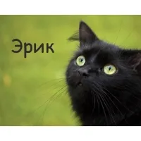 Открытка Открытки с именем Эрик - Черный кот на открытке: милый взгляд, зеленые глаза | Красивая открытка #78