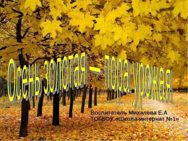 Открытка Открытки Золотая Осень  - Золотая осень: открытка с желтыми деревьями | Красивая открытка #96